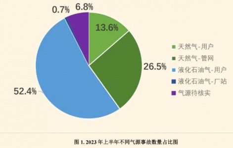 可燃氣體預校準模塊fsm 19t 02助力餐飲業用氣安全